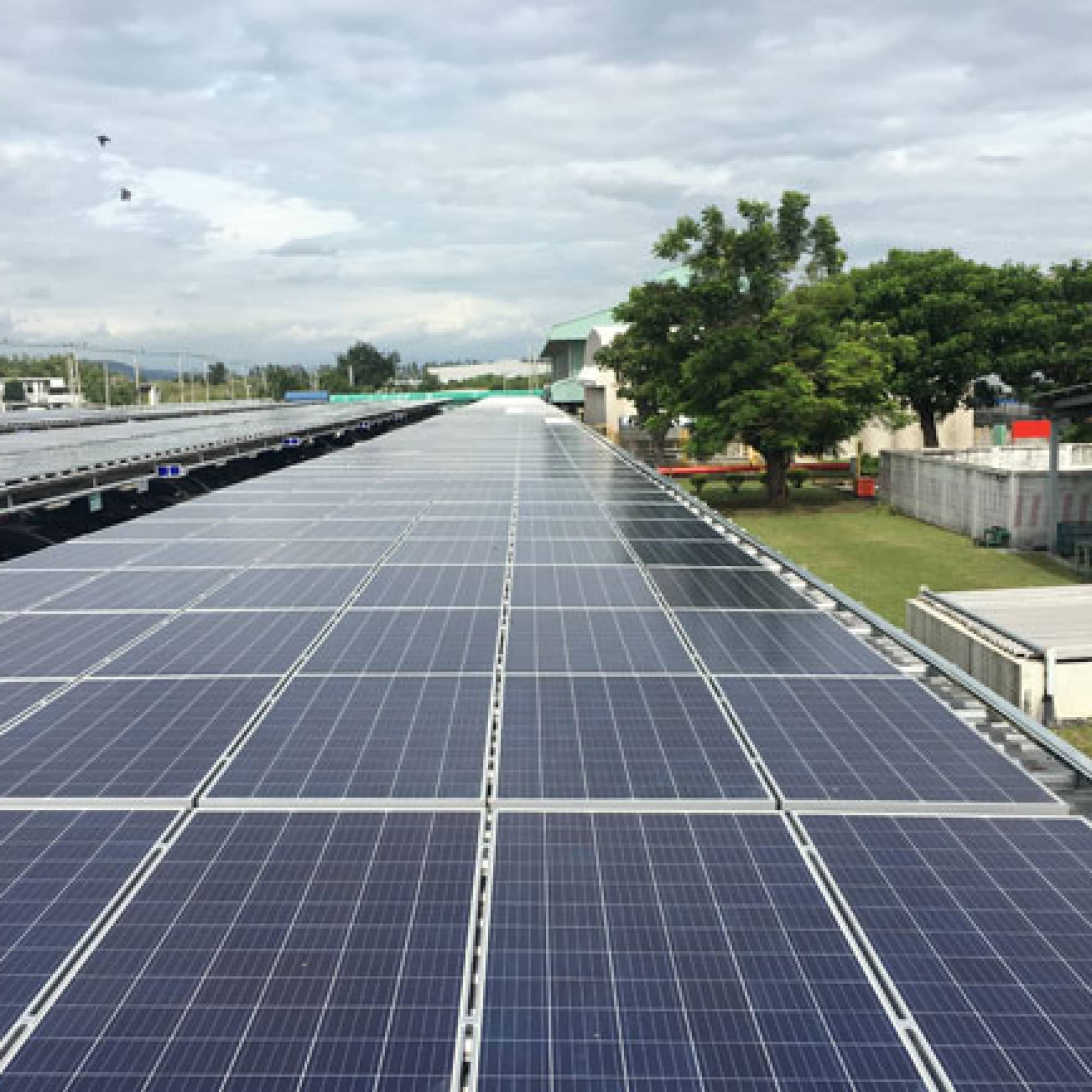 Chanthaburi’s Shrimp Farmer Cooperative 2